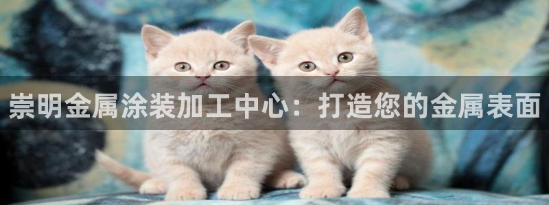美高梅儿童乐园收费