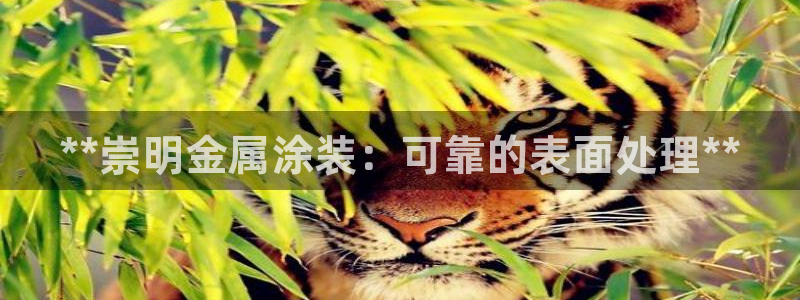 美高梅酒店属于哪个集团