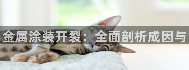 美高梅的老板是何超莲吗