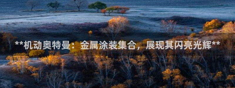 美高梅大酒店简介