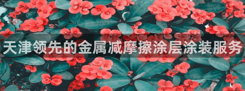 美高梅酒店哪年建成