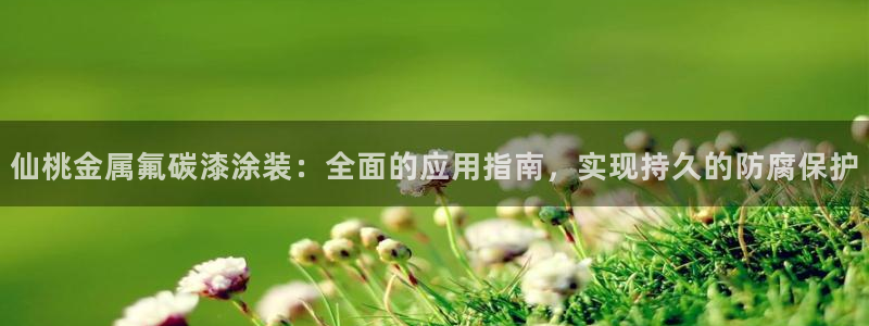 美高梅提现提不出来