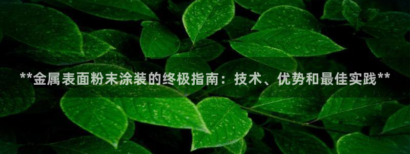 美高梅是哪个国家的品牌