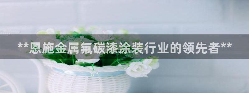 鲁能美高梅别墅物业费