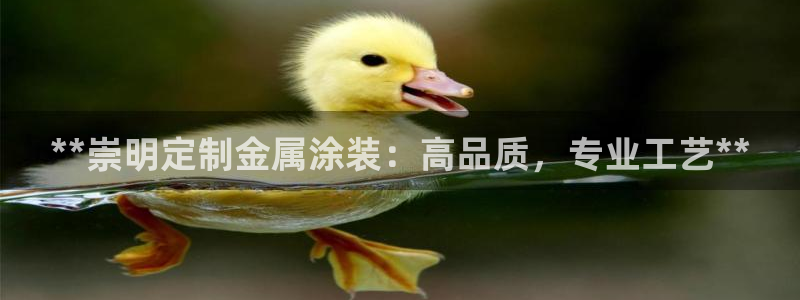 美高梅酒店免费的东西