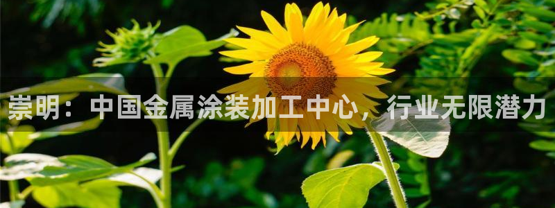 美高梅下载苹果版