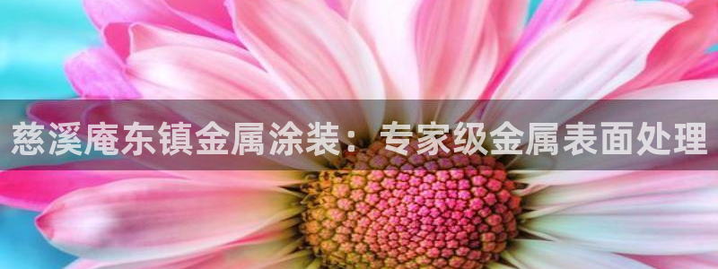 美高梅公寓租房