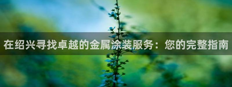 美高梅空气炸锅怎么样好用吗