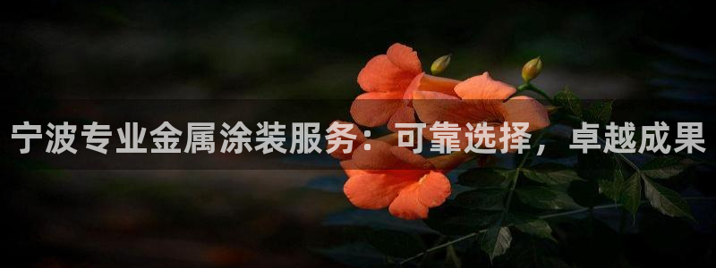 美高梅母公司