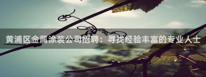 美高梅和米高梅是什么关系啊