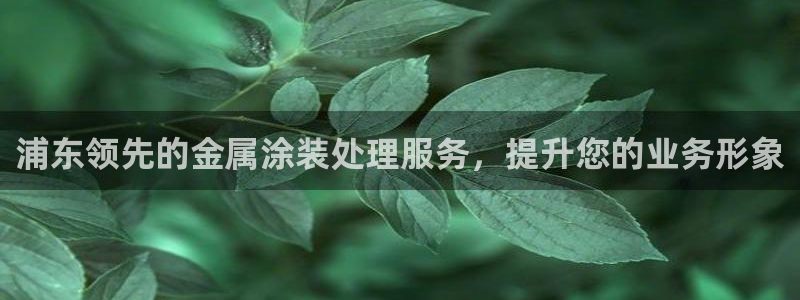美高梅会员卡要输多少