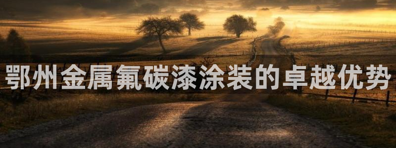 美狮美高梅酒店黑卡