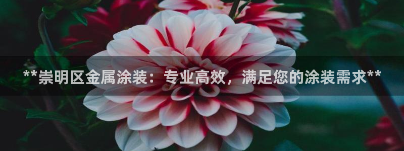 美高梅酒店澳门标志
