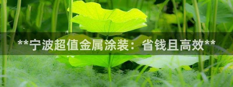 美高梅酒店免费的东西