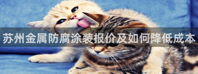 美狮美高梅酒店购物