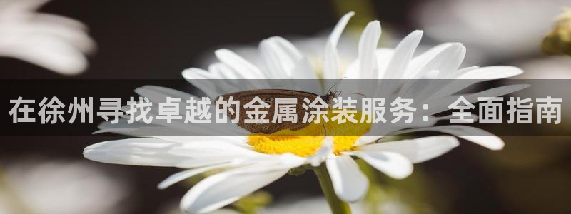 美高梅儿童托管怎么样知乎