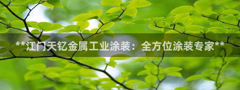 美高梅卡颜色等级