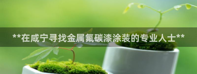 美高梅人员推销