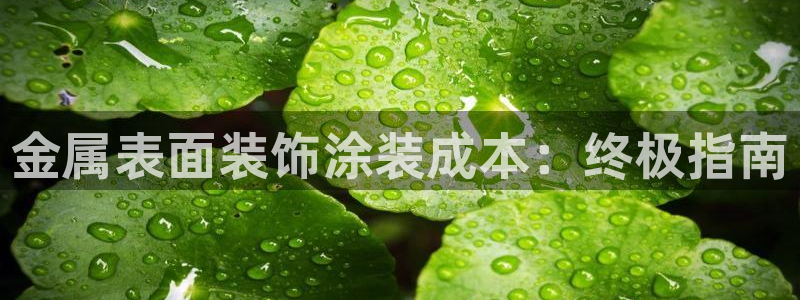 鲁能钓鱼台美高梅公馆房价
