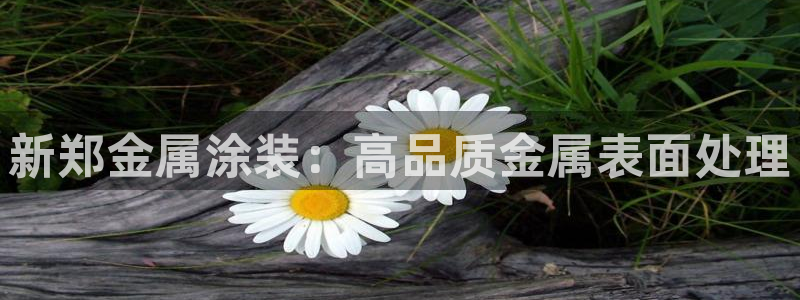 美高梅润肤露价格