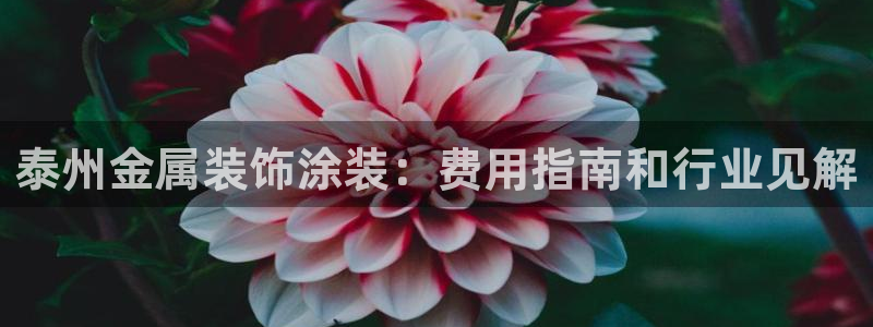 美狮美高梅和美高梅有什么区别
