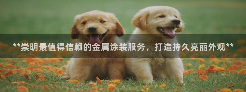 美高梅公司简介