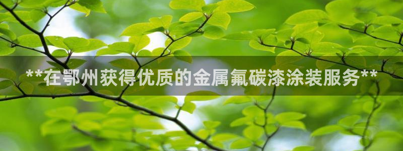 美高梅酒店是赌王哪个女儿开的