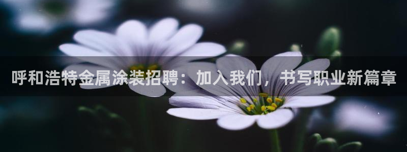 美高梅属于什么集团