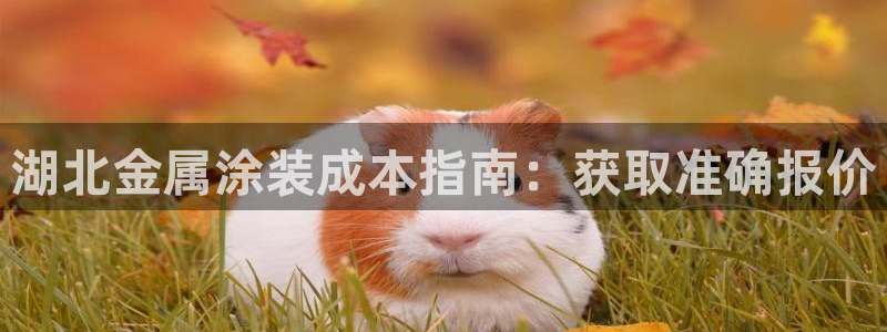 美高梅控股有限公司怎么样