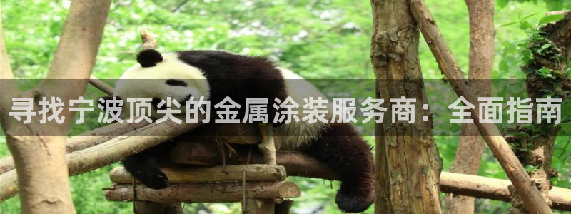 美高梅公司怎么样