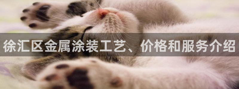 美高梅青岛