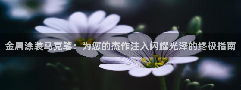 美高梅酒店前台