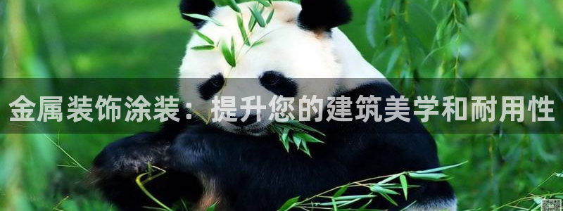 美高梅度假酒店攻略