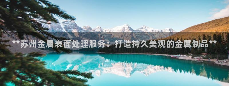 美高梅的老板是何超莲吗