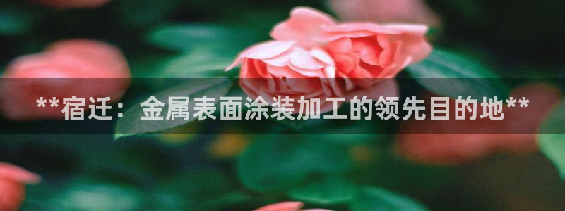 美高梅官网集团