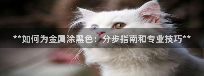 美高梅会员卡种类