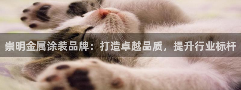 美高梅酒店拖鞋