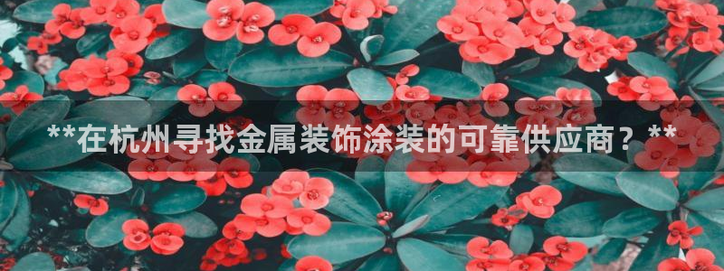 美高梅酒店到南海观音