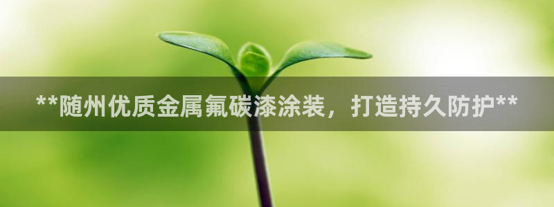 美高梅会员卡等级怎么看