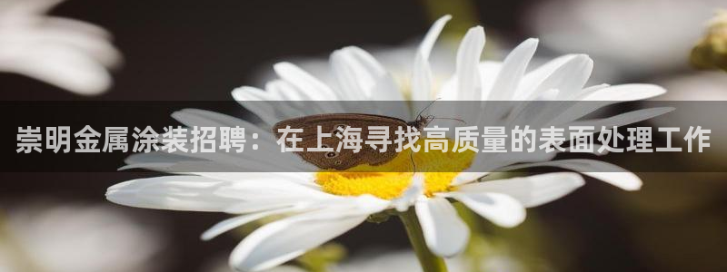 美狮美高梅酒店黑卡400餐卷