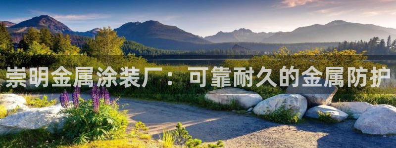 美高梅集团介绍