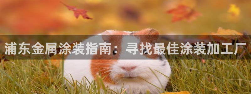 美高梅现