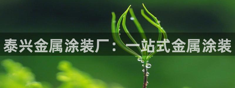 美高梅中国集团简介