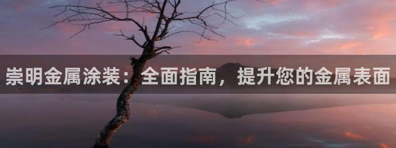 鲁能美高梅别墅