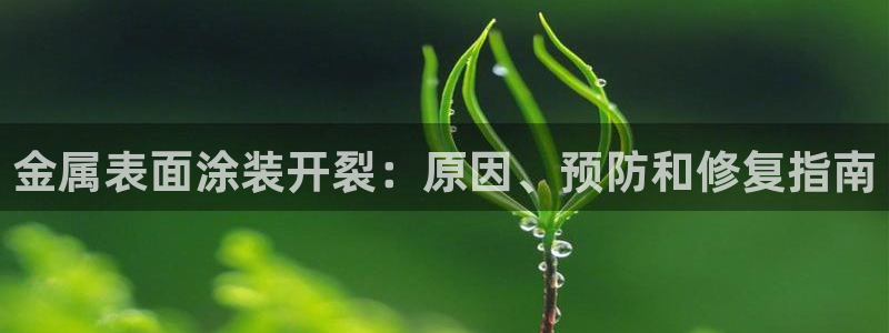 美高梅酒店排名