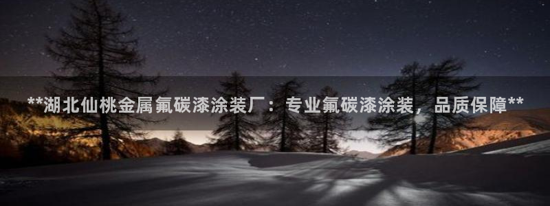 美高梅年卡