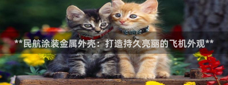 美狮美高梅酒店武汉有吗
