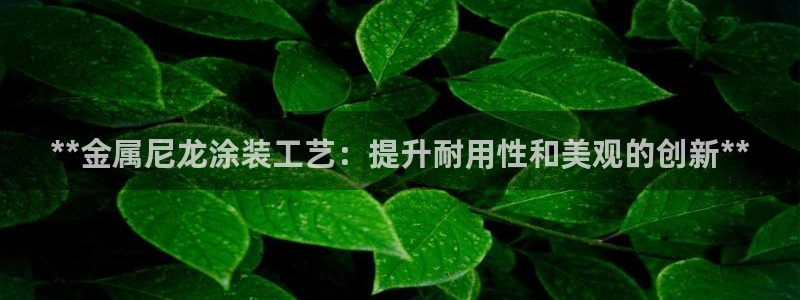 美高梅会员卡分类