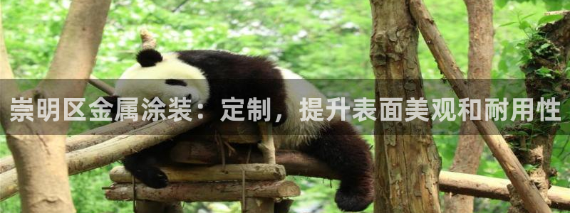 美狮美高梅酒店可以抽烟吗