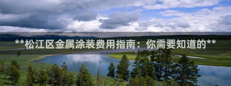 美高梅国际酒店集团十大股东